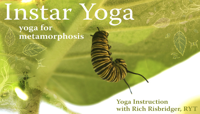 San Francisco and Berkeley Ashtanga Vinyasa Yoga